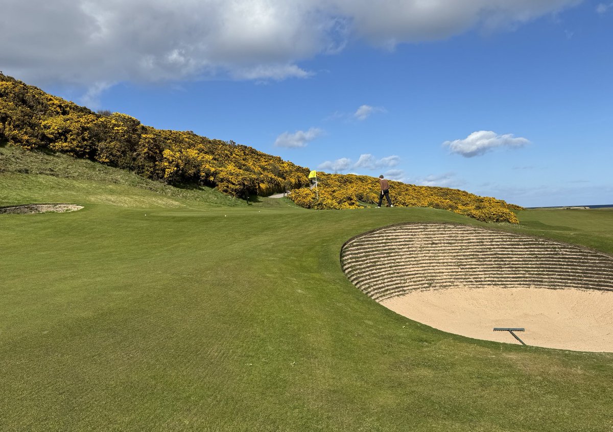 Dan Kelly (@golf_crazed) on Twitter photo <a href="/golfhighland/">Golf Highland</a> #GolfHighlandPhotoChallenge Royal Dornoch, 4/19/2024, photographer Rose Kelly <a href="/golfhighland/">Golf Highland</a> #GolfHighlandPhotoChallenge Royal Dornoch, 4/19/2024, photographer Rose Kelly