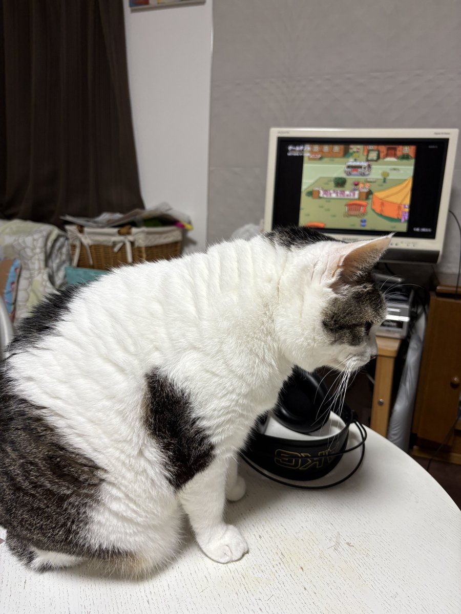 Shogo_Sakai's tweet image. 真夜中に「ゲームゲノム」を追っかけで観ます。
私の人生にも大きな影響を及ぼしたゲーム『MOTHER』の発売日を記念して
nhk.jp/p/ts/LJWWVGY6J…