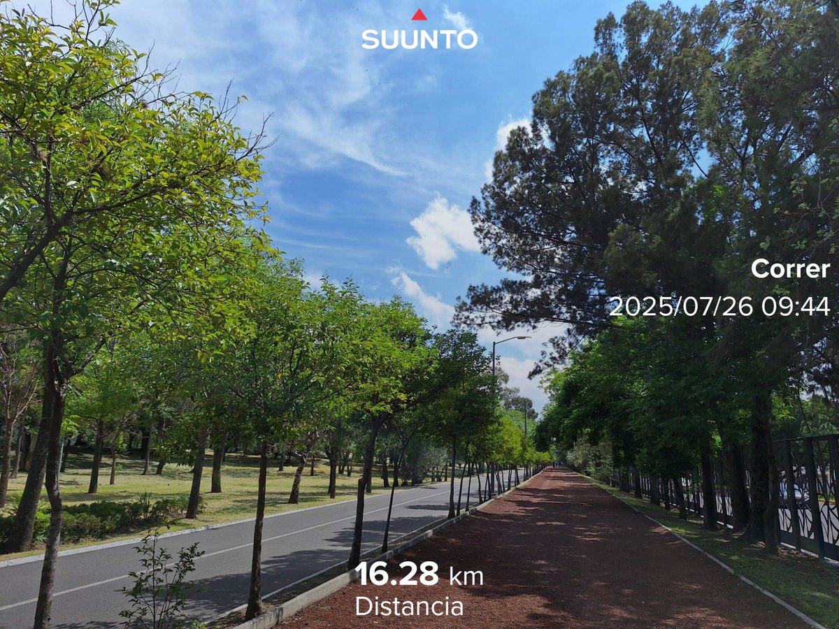 #FelizSábado
🤗
#Reto2025Kms 
#SumandoKmx #MeEncantaCorrer
#CorrerSana #ComuniRunners
#TemploRunner #YoElegíCorrer 
#CorrerMeHaEnseñado 
#EntreRunners  
💯🏃‍♀️🏃‍♀️🏃‍♀️🏃‍♀️🏃‍♀️✔️