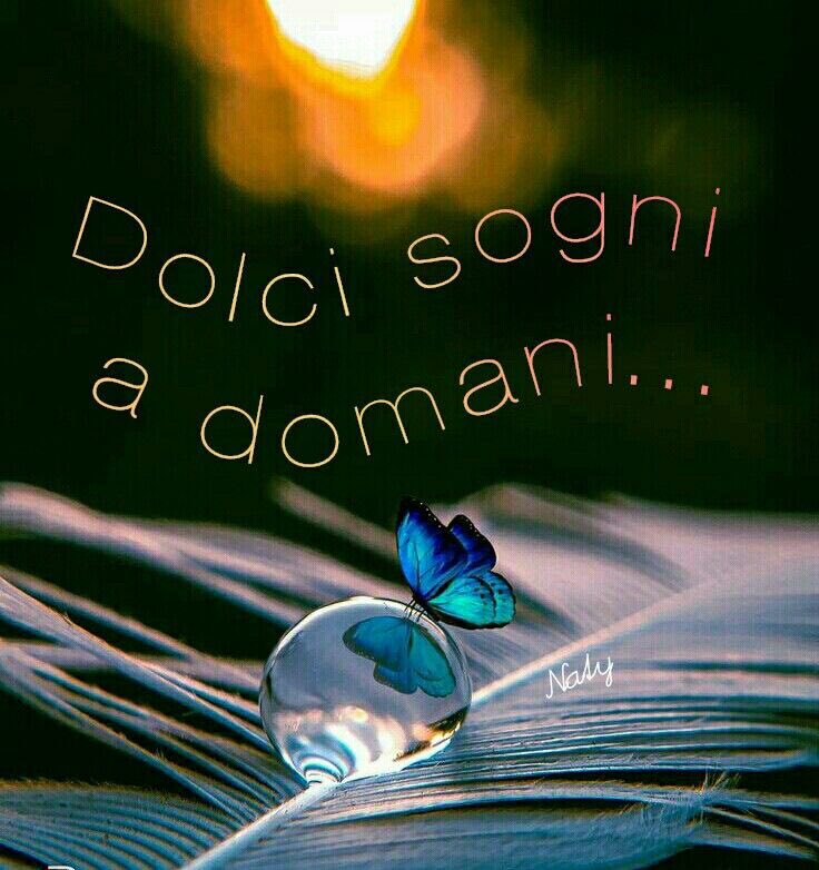 LmLiberato's tweet image. 