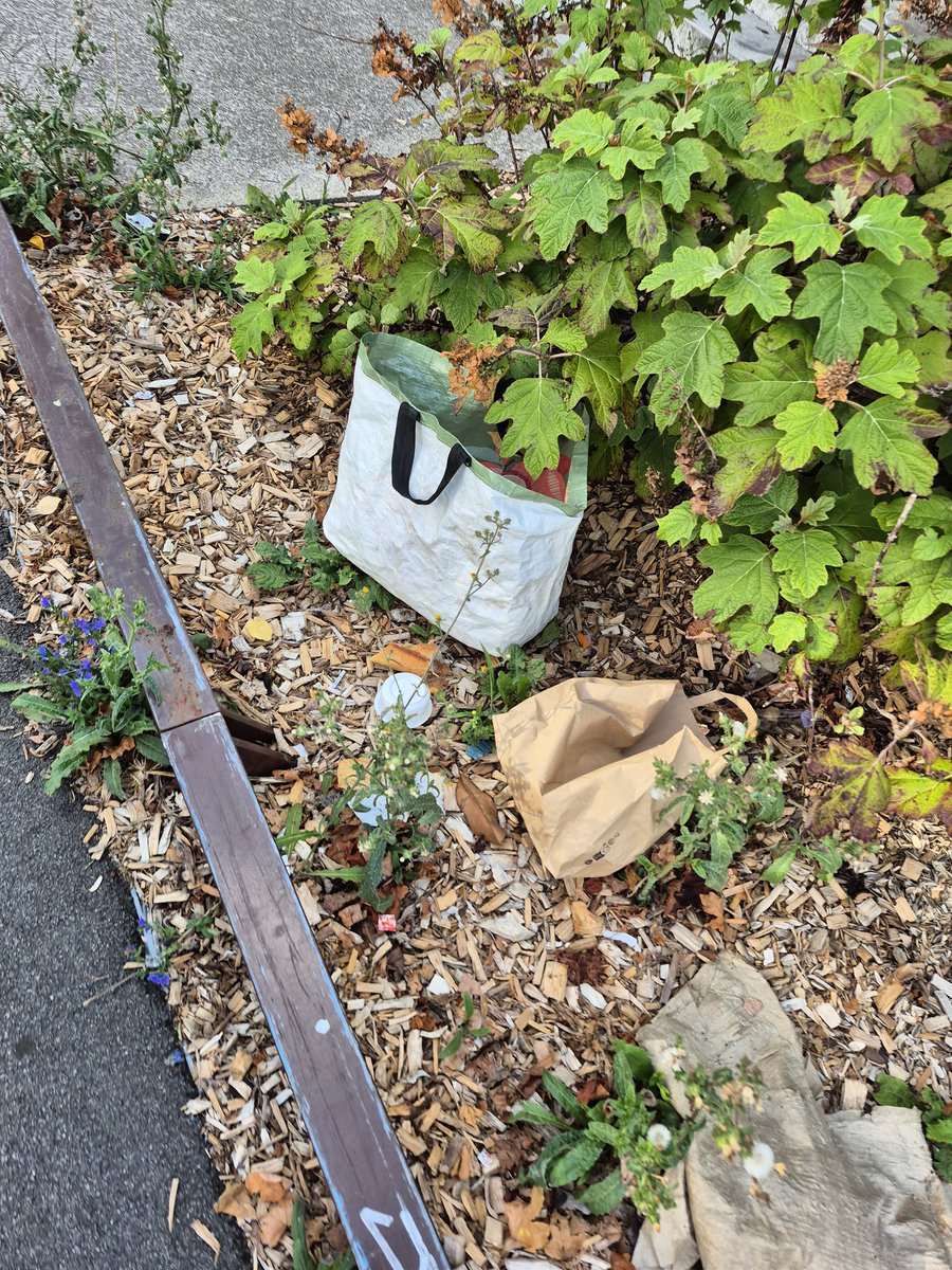 tantannte's tweet image. Balade sur l Ile de @nantesfr , passage près des 5 ponts pour constater la dechetterie qui entoure ce lieu ...