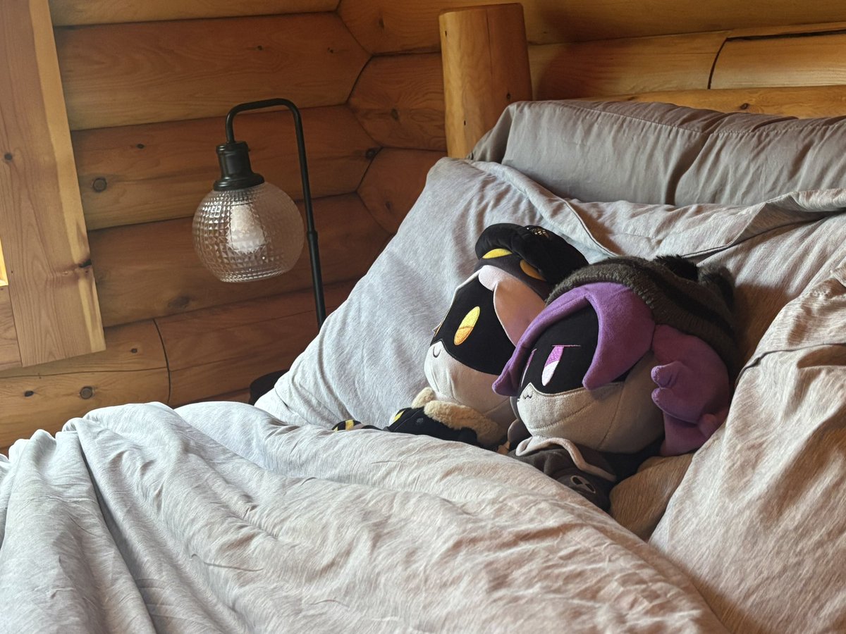 wingedwolf_67's tweet image. They shouldn’t be allowed to look this serene