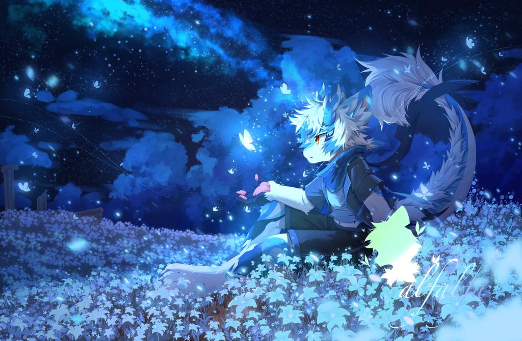 （稿件分享）
花海