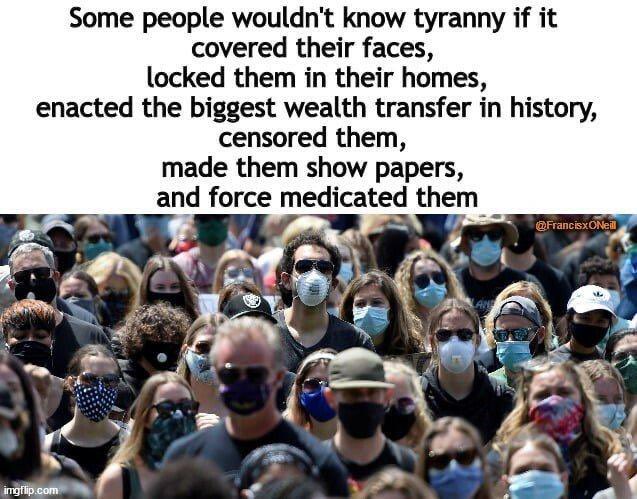 JohnnyNaylor4's tweet image. 