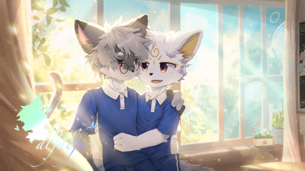 （稿件分享）
贴贴