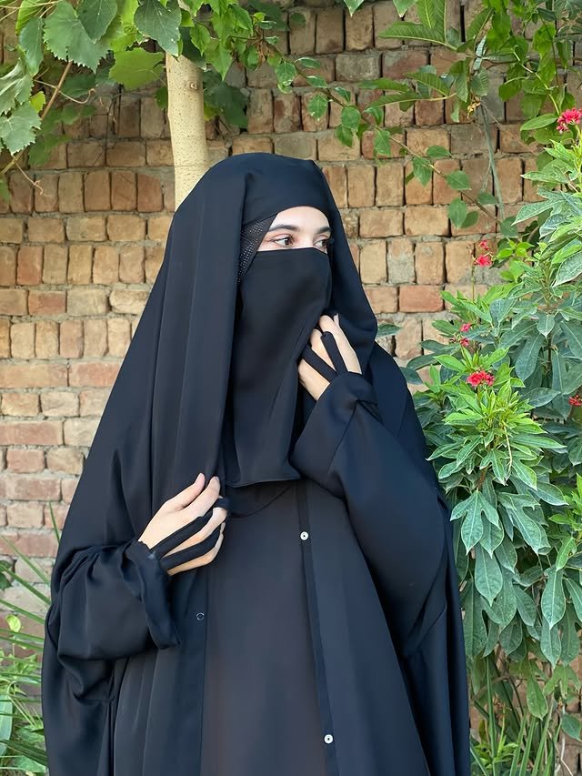 السلام علیکم 
صبح بخیر 💚