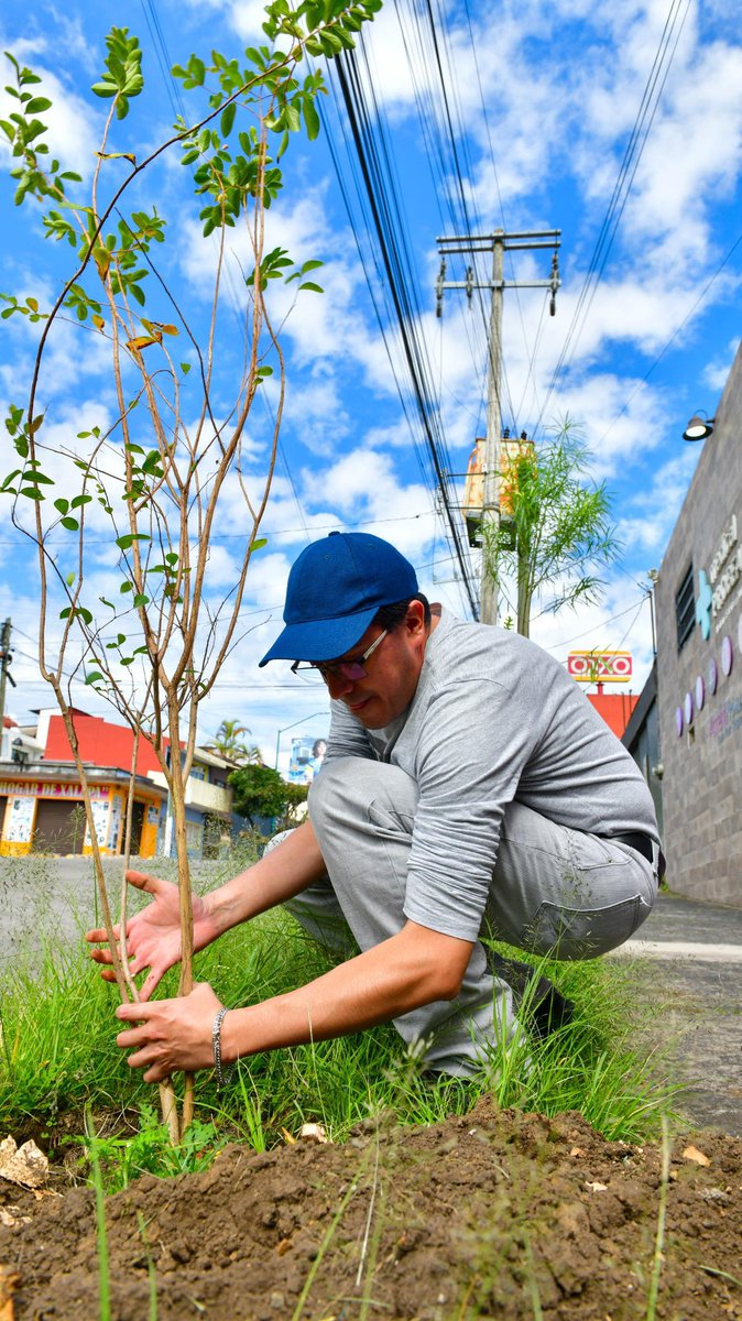 Este día llevamos a cabo una Jornada Comunitaria de Mantenimiento de Áreas Verdes en:
🔹 Glorieta Miguel Alemán (Ferrocarrilera)
🔹 Área verde de Narváez (Revolución)
🔹 Av. 20 de Noviembre, donde reforestamos con 50 nuevos árboles 🌿

#TrabajoYTransparencia
#JornadaAmbiental