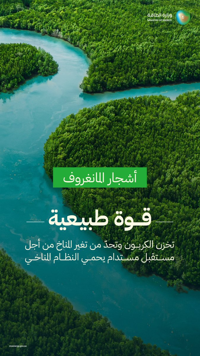 MoEnergy_Saudi's tweet image. في اليوم الدولي لصون النظام الإيكولوجي لغابات المانغروف؛ نحتفي بها ونسعى لحمايتها ..
من أجل مستقبل مستدام يحمي النظام المناخي.