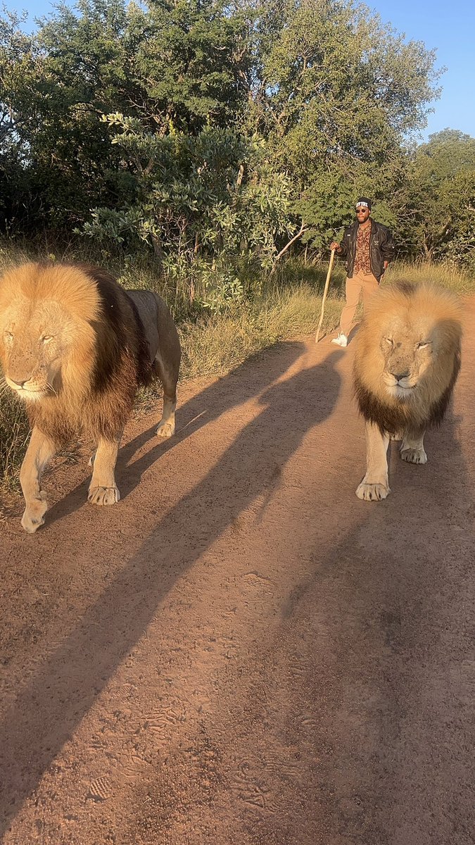 RealSimonM's tweet image. You should have walked behind them