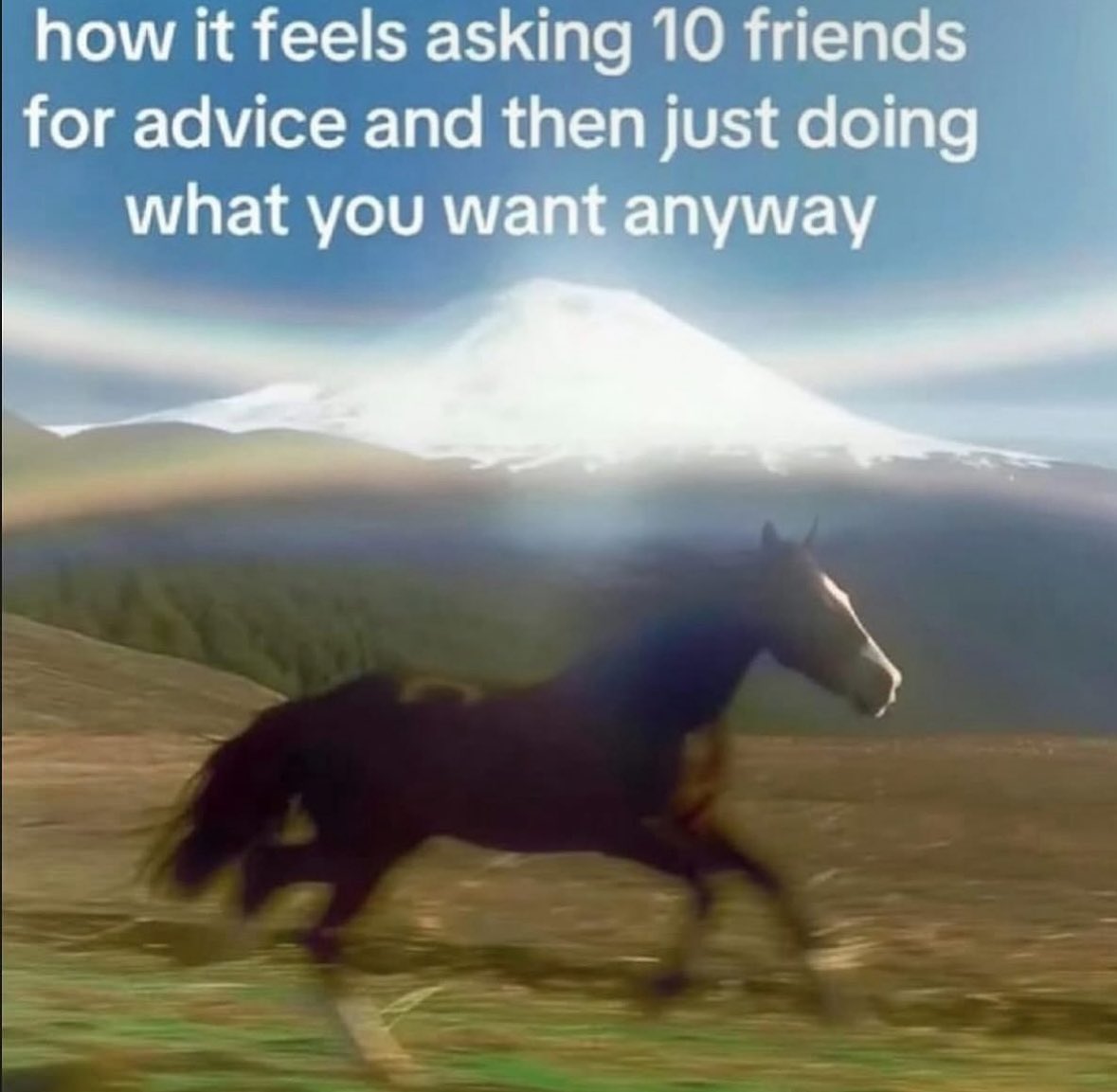 Respectful Memes (@respectfulmemes) on Twitter photo 