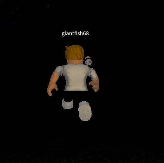 ComputerVanity's tweet image. Im a huge fan of this fake player in Rust_010’s game giantfish68