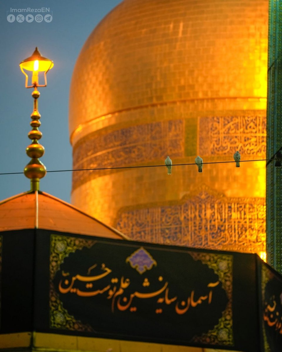 ImamRezaEN's tweet image. O Hussain!
From the Zainabi hill, in sight of the tents,
Your desolate devotee pleads and repents:
Accept me, O Lantern of Guidance and Ark of Salvation,
O vast mercy of God and defender of Revelation!