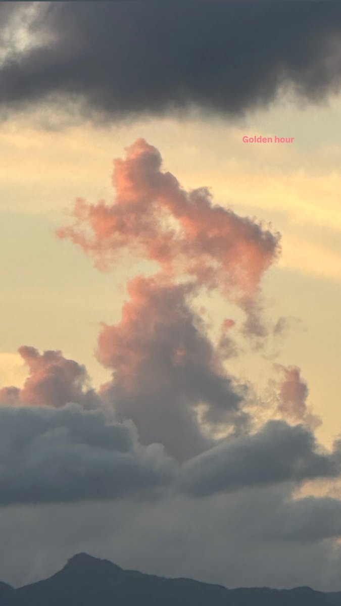 exo43580129's tweet image. ༚。₊˚   .
