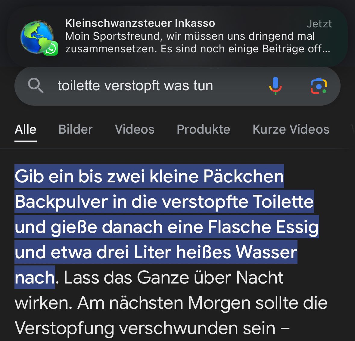 rookiemaku's tweet image. hat jemand von euch backpulver??