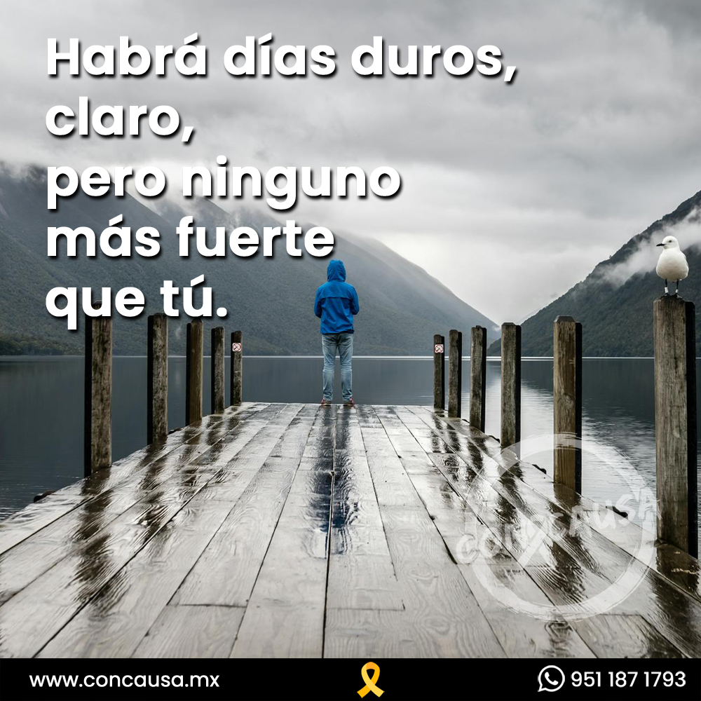 Con🎗Causa (@concausamx) on Twitter photo 