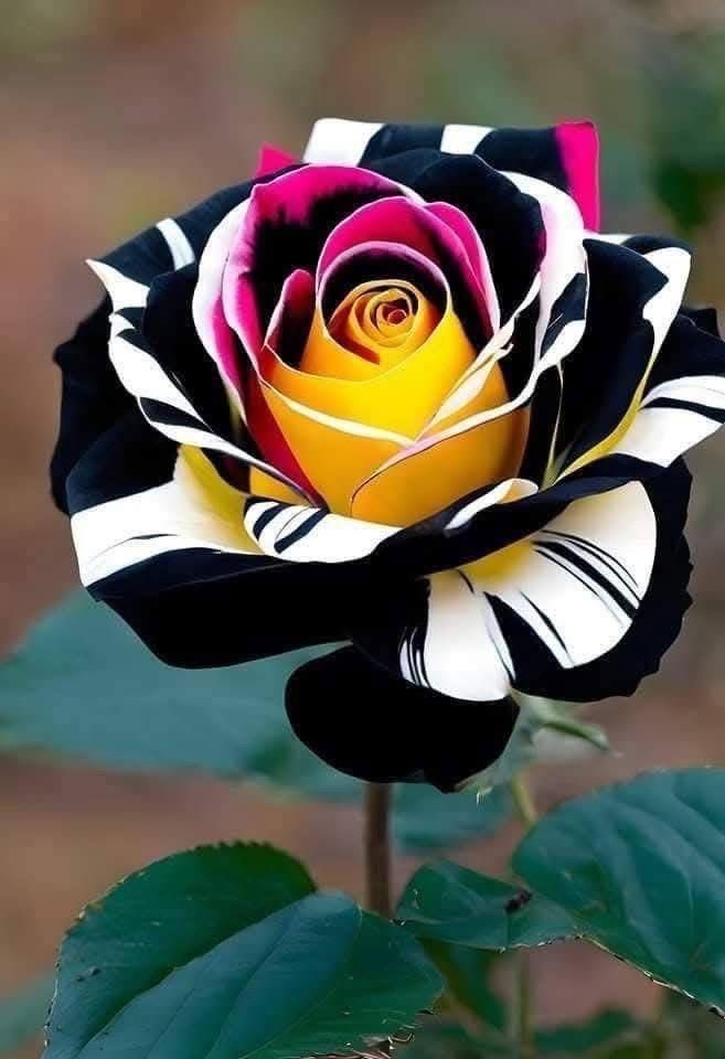 ððððð«ðð ððŠððð£ (@shz447) on Twitter photo #PAK_PG
<a href="/Tnr_6/">Hafiz Tanveer Ahmad ðOfficial</a> <a href="/0fozi_/">Fauzia</a> <a href="/frq04/">Muhammad Farooq Ahmad</a> <a href="/Rnapti/">SHAHIDðPK</a>
<a href="/Fk0_1/">Shahid (lover pti)</a> <a href="/786F_/">Shahid</a> <a href="/F7861_/">Rana Fahid</a> <a href="/P0_27/">PTI_PROMO</a>
<a href="/FK_71/">Fãhêêmkhãn</a> <a href="/Tzb_1/">ØªÛØ°ÛØš</a> <a href="/Afd8_/">Marif AfriDi</a> <a href="/TP7i1/">â
â¯ð©ðððàŒã</a>
<a href="/Bla_Here/">ð
°ð
±ð
³ðð
»ð
»ð
°ð
·ð²ð¹ð²ðªð·</a>
<a href="/shZ447/">ððððð«ðð ððŠððð£</a>
<a href="/shz787/">ðâïžððsÊáŽÊᎢáŽáŽ
áŽáŽÉŽÉªÊðâïžðâïž</a>
<a href="/imra0b/">Goat city Form</a>
<a href="/fozih0/">Fauzia Hamid</a>
<a href="/S111_9/">SHAHID MEHMOOD</a>
<a href="/Triq25/">‹ððªððð¢ð¢ðð ððð§ððŠâ€ž</a>
@58yas_
<a href="/imrnv/">CH Imran</a>
<a href="/1i2Ua/">ðŠ ð ð² ðª ð© ð· ð® ðŠ ð¿ð²ð¹ð²ðªð·</a>
<a href="/1i3Ua/">ðŠ ð ð² ðª ð©</a>
<a href="/6Jan11/">jan</a>
<a href="/Frhn42/">â
ðð§ððð£ ðŒðð¢ððâ
</a>
<a href="/_ah064/">Ahmad</a>
<a href="/Khld36/">âðððð¡ðð ððªðšððð£âⳌ</a>
<a href="/Jann064/">Ahmad Jan</a> <a href="/Trq88/">âïžâžðÎ±ÉŸÎ¹Ï ðÏ
ÉŸÆÎ±È¥Î±à¿</a> <a href="/1Lvz0/">ð¿ð¶vðððð¶_ð</a>
<a href="/0MRK_/">Mahrukh Khan</a> <a href="/7Ambr/">Amber Baig</a> <a href="/Smm01/">Rana</a>
<a href="/frq_3/">farooq mughal</a> <a href="/frq05/">Farooq Ahmad</a> <a href="/frq06/">Farooq</a> #PAK_PG
<a href="/Tnr_6/">Hafiz Tanveer Ahmad ðOfficial</a> <a href="/0fozi_/">Fauzia</a> <a href="/frq04/">Muhammad Farooq Ahmad</a> <a href="/Rnapti/">SHAHIDðPK</a>
<a href="/Fk0_1/">Shahid (lover pti)</a> <a href="/786F_/">Shahid</a> <a href="/F7861_/">Rana Fahid</a> <a href="/P0_27/">PTI_PROMO</a>
<a href="/FK_71/">Fãhêêmkhãn</a> <a href="/Tzb_1/">ØªÛØ°ÛØš</a> <a href="/Afd8_/">Marif AfriDi</a> <a href="/TP7i1/">â
â¯ð©ðððàŒã</a>
<a href="/Bla_Here/">ð
°ð
±ð
³ðð
»ð
»ð
°ð
·ð²ð¹ð²ðªð·</a>
<a href="/shZ447/">ððððð«ðð ððŠððð£</a>
<a href="/shz787/">ðâïžððsÊáŽÊᎢáŽáŽ
áŽáŽÉŽÉªÊðâïžðâïž</a>
<a href="/imra0b/">Goat city Form</a>
<a href="/fozih0/">Fauzia Hamid</a>
<a href="/S111_9/">SHAHID MEHMOOD</a>
<a href="/Triq25/">‹ððªððð¢ð¢ðð ððð§ððŠâ€ž</a>
@58yas_
<a href="/imrnv/">CH Imran</a>
<a href="/1i2Ua/">ðŠ ð ð² ðª ð© ð· ð® ðŠ ð¿ð²ð¹ð²ðªð·</a>
<a href="/1i3Ua/">ðŠ ð ð² ðª ð©</a>
<a href="/6Jan11/">jan</a>
<a href="/Frhn42/">â
ðð§ððð£ ðŒðð¢ððâ
</a>
<a href="/_ah064/">Ahmad</a>
<a href="/Khld36/">âðððð¡ðð ððªðšððð£âⳌ</a>
<a href="/Jann064/">Ahmad Jan</a> <a href="/Trq88/">âïžâžðÎ±ÉŸÎ¹Ï ðÏ
ÉŸÆÎ±È¥Î±à¿</a> <a href="/1Lvz0/">ð¿ð¶vðððð¶_ð</a>
<a href="/0MRK_/">Mahrukh Khan</a> <a href="/7Ambr/">Amber Baig</a> <a href="/Smm01/">Rana</a>
<a href="/frq_3/">farooq mughal</a> <a href="/frq05/">Farooq Ahmad</a> <a href="/frq06/">Farooq</a>