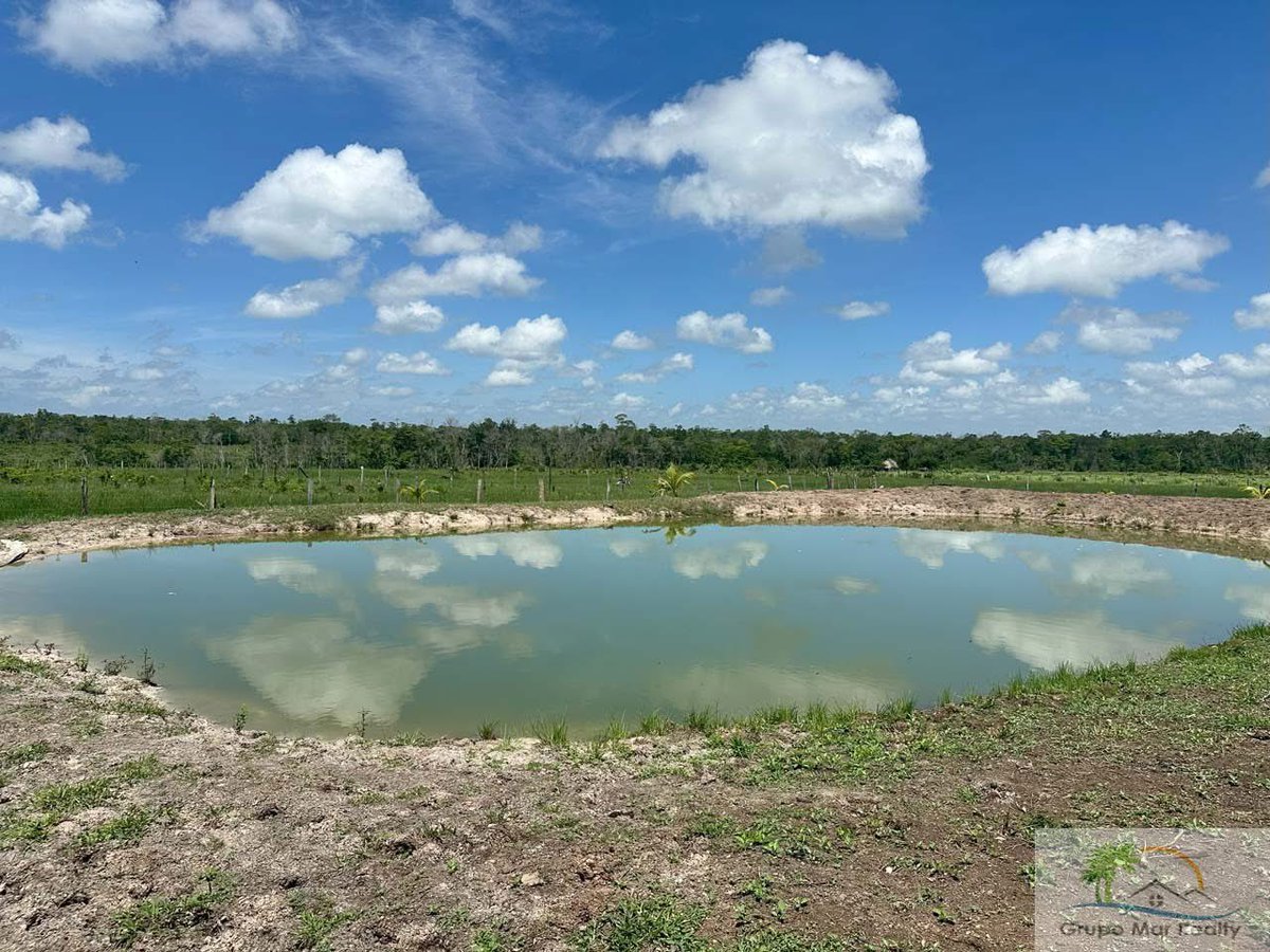 RealtorInBelize's tweet photo. 🏡 – 31.25-Acre Farm For Sale!
📍 Near La Gracia Village, Cayo
Exceptional opportunity to own a developed farm.
#Belize #BelizeRealEstate #PropertyForSale #Realtor  #GrupoMarBelize  #farmproperty #farmlife #fruitfarm #organicfarming #tropicalfruits  #rancho #ranchlife https://t.co/BO61mfdNrH