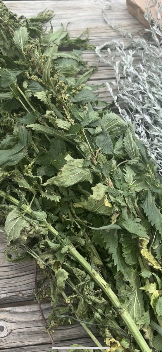 therawsol's tweet image. Some herbs that are great for scalp health & hair growth:
Nettle, horsetail, rosemary, peppermint, green tea, gotu kola, lavender, burdock root, astragalus & calendula.
I like to make an infusion with some of these and use it as a scalp rinse a few times a week.
This can…