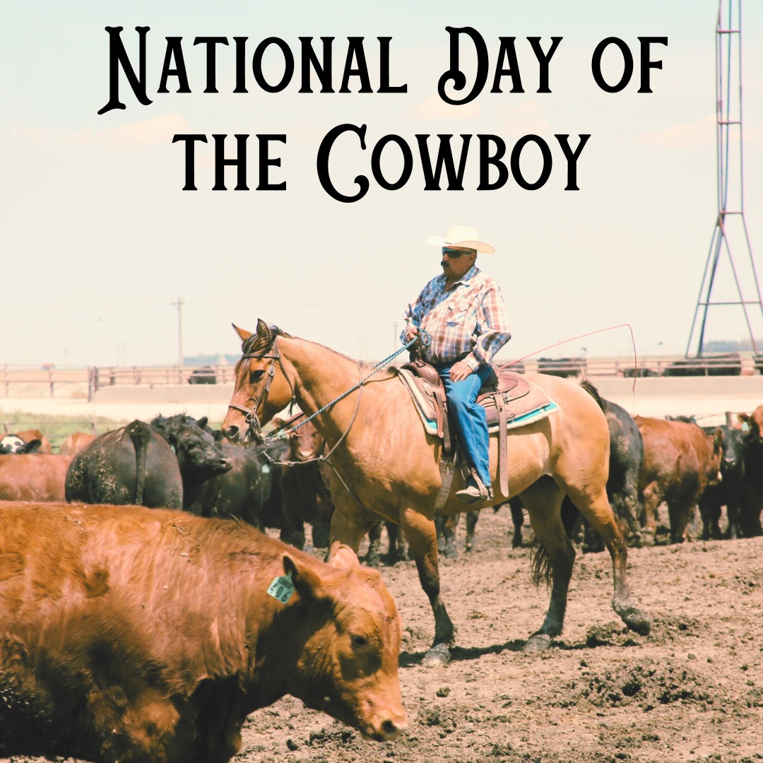 unmccscash's tweet image. 🤠 It’s #NationalDayoftheCowboy!
Cowboys work hard in the feedyard too—often on horseback with livestock. It’s tough & risky work.
Stay safe with low-stress livestock handling tips:
🔗 go.unmc.edu/safelivestockf…
#FarmSafety #LivestockHandling