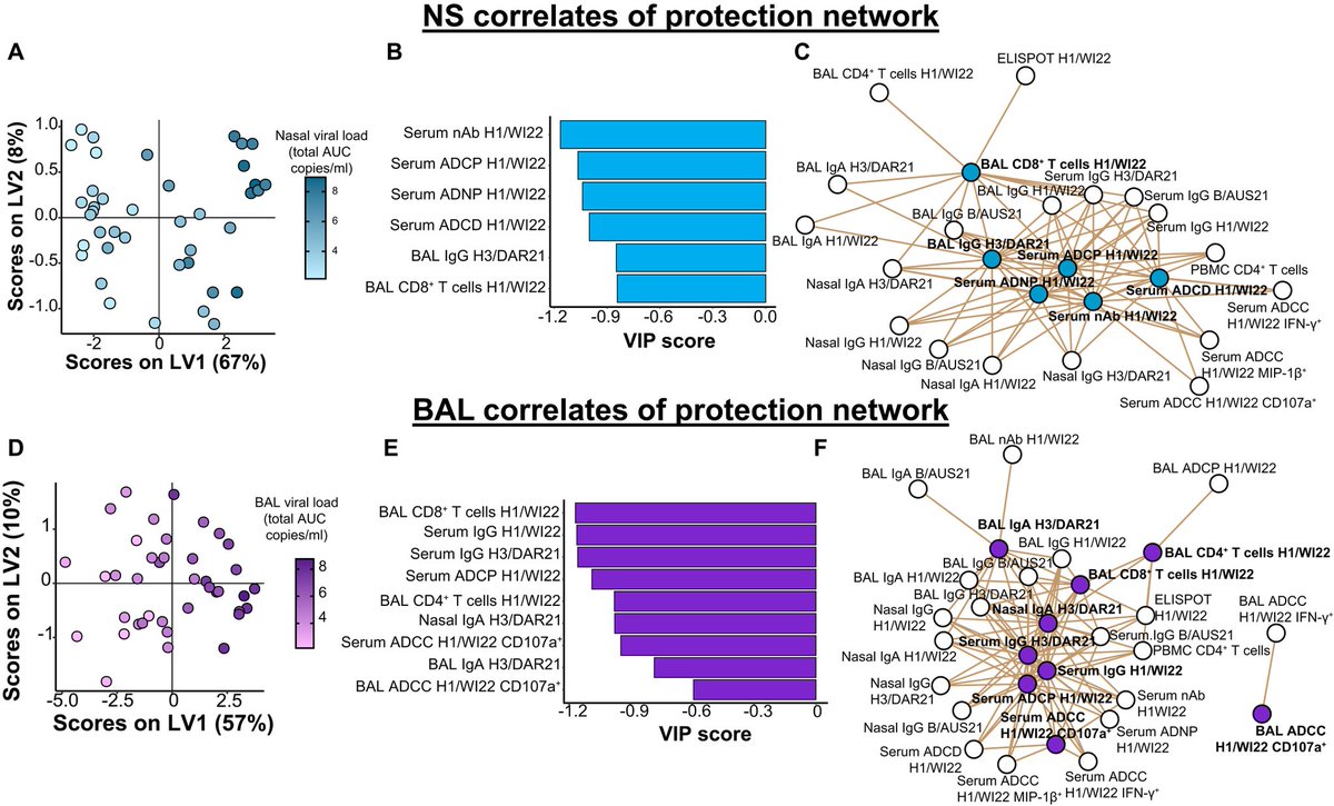 ScienceTM's tweet image. mRNA or adenovirus flu vaccine boosters produce strong immune responses against H1N1 and match the efficacy of a live-attenuated booster in macaques, supporting their potential as a more flexible platform for #influenza vaccines. @BarouchLab @BIDMChealth scim.ag/45Zjb5M
