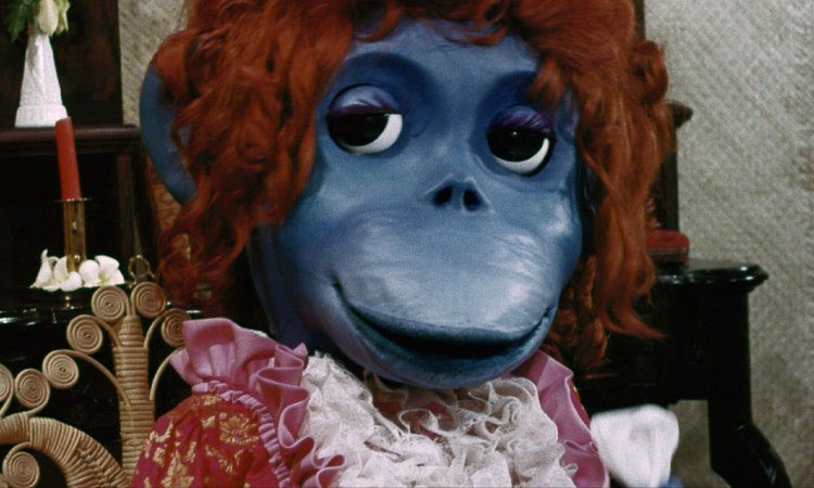 bonkersasscin's tweet image. Oh man. Last night, my buddies and I were trashed and came across this insane 1974 kids film THE RARE BLUE APES OF CANNIBAL ISLE. 

And let me tell you, I have seen the face of god, and it’s blue.