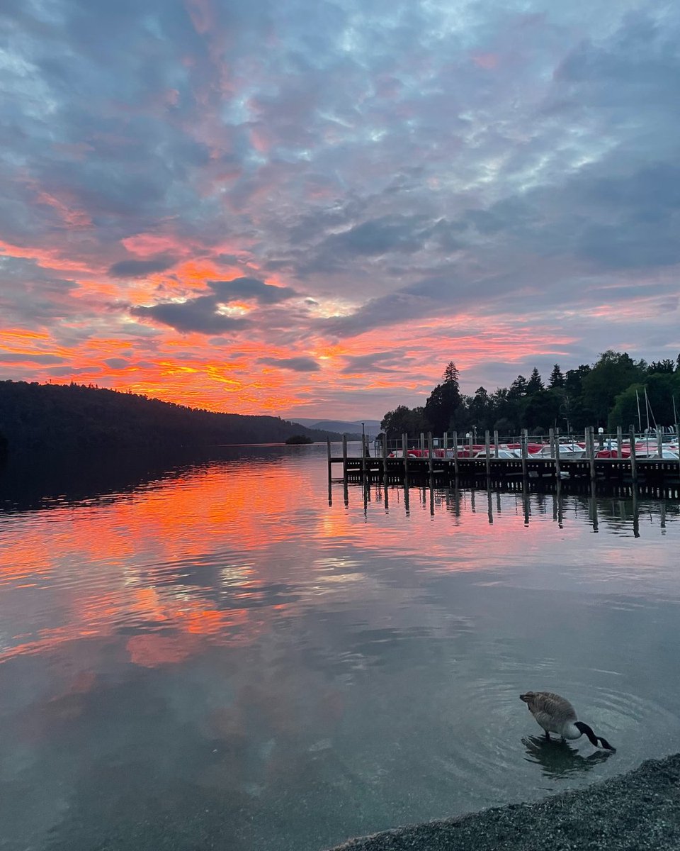 Windermereboats's tweet image. Golden hour hits different on Windermere 🌅✨

#Sunset #Windermere #LakeDistrict