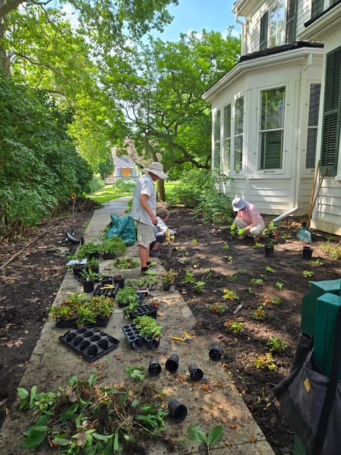 Gardener Kendal and our volunteers have been working to remove invasive species &amp; replace them with native plants in the east garden. This has been nearly a year in the making and is thanks to TD Friends of the Environment! We can't wait to share more updates!

#LdnOnt #Museum