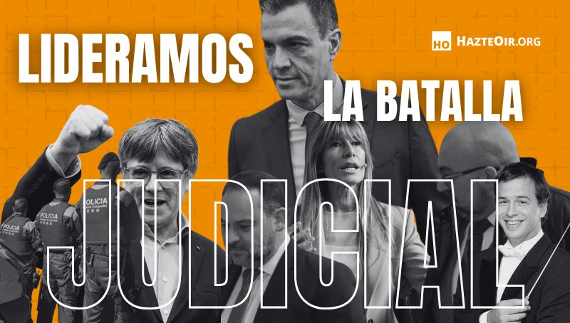 hazteoir's tweet image. ⚖️ LIDERAMOS LA BATALLA JUDICIAL

🥊 Mientras el Mundo está pendiente de RoRo, Abby, TheGrefg o Ibai Llanos, el equipo jurídico de @hazteoir trabaja para seguir liderando la batalla judicial que tiene a Sánchez contra las cuerdas.

🔄 RT al Hilo que el PSOE no quiere que leas 🧵