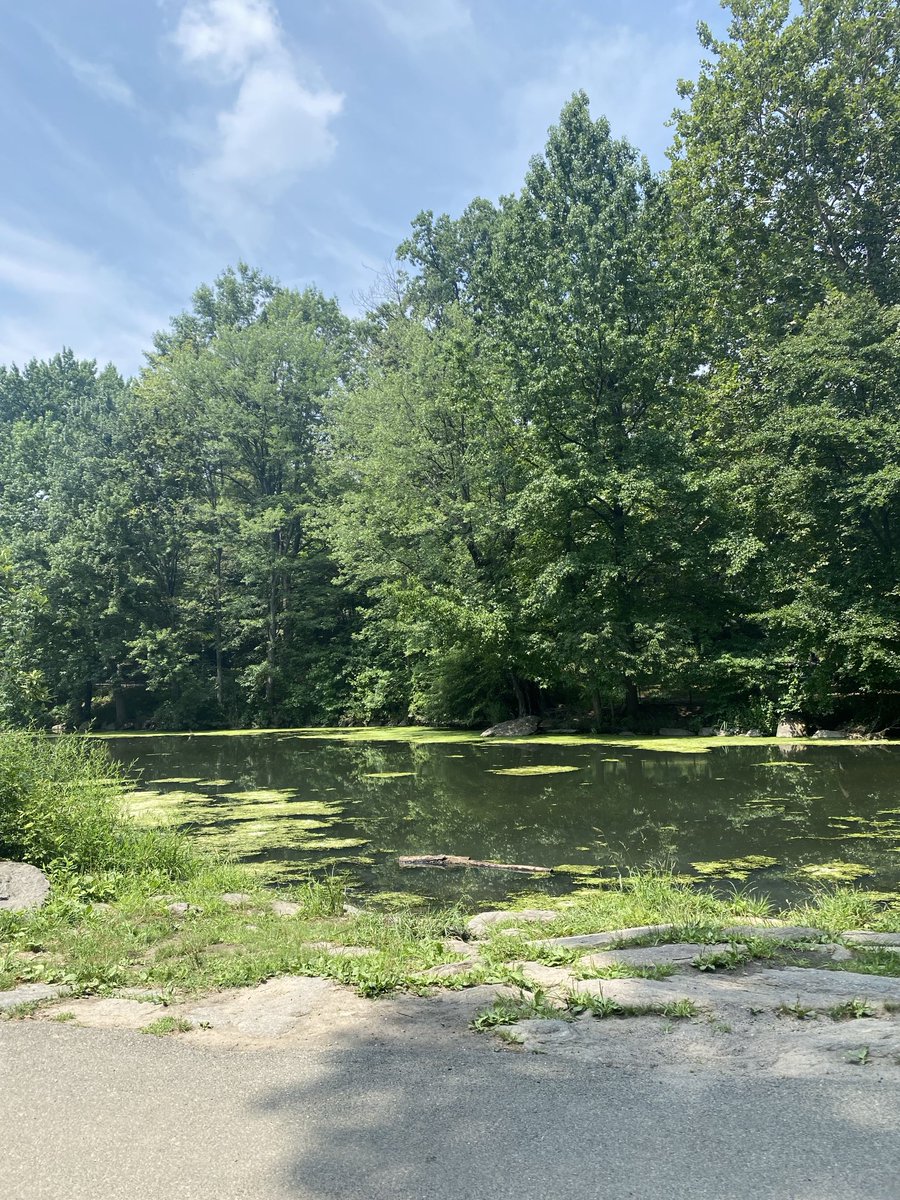 FrankConniff's tweet image. Goodbye Central Park. I will always love you.
