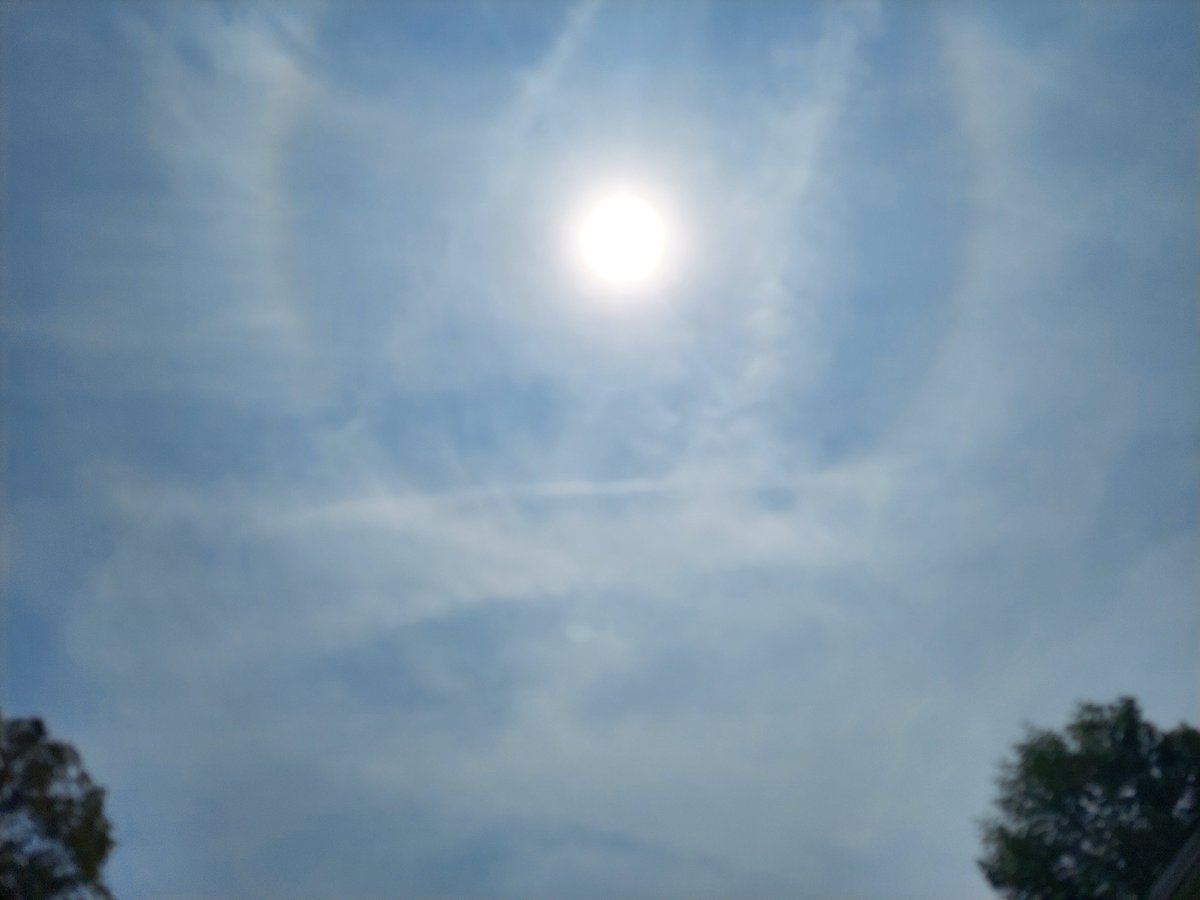 PanicMike13's tweet image. Almost total white out western Massachusetts