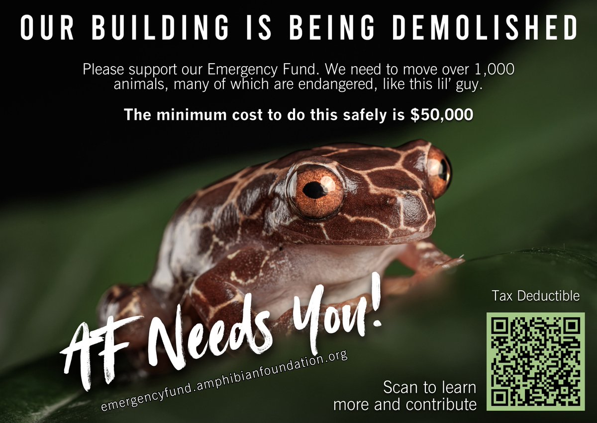 #ICYMI: An Amphibian Emergency...

AF's building will be demolished in 2026. Please support our Emergency Fund. We need to keep our operations open while also moving 7 conservation labs and over 1,000 animals, many of which are endangered.

Please help!

emergencyfund.amphibianfoundation.org