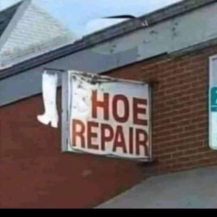 Michael96303310's tweet image. So you can make a hoe into a housewife