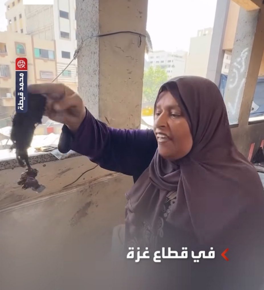 Eayida3's tweet image. " لقد حُرمنا من اللحوم لمدة عامين ولكننا نراها كل يوم في اجساد اطفالنا"..
هذه الكلمات المؤثرة قالتها امرأة غزاوية وهي تحمل اشلاء احد الشهداء بعد مجزرة ارتكبتها آلة القتل الصهيونية بحق اهلنا في غزة