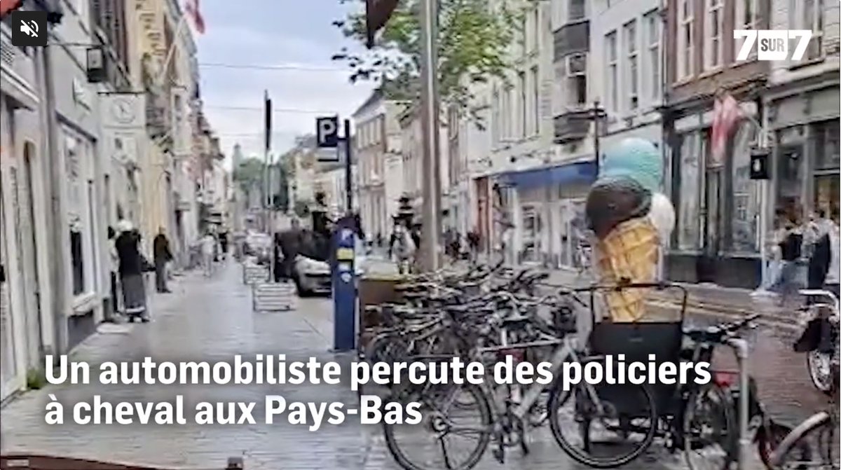 LFPCheval (@lfpcheval) on Twitter photo 🇳🇱🚔 Un automobiliste percute des policiers à cheval aux Pays-Bas
Deux policiers à cheval ont été percutés mercredi soir dans la ville néerlandaise de Den Bosch. Un porte-parole a confirmé que les chevaux avaient été heurtés par une voiture
ow.ly/32wm50WvC95 🇳🇱🚔 Un automobiliste percute des policiers à cheval aux Pays-Bas
Deux policiers à cheval ont été percutés mercredi soir dans la ville néerlandaise de Den Bosch. Un porte-parole a confirmé que les chevaux avaient été heurtés par une voiture
ow.ly/32wm50WvC95