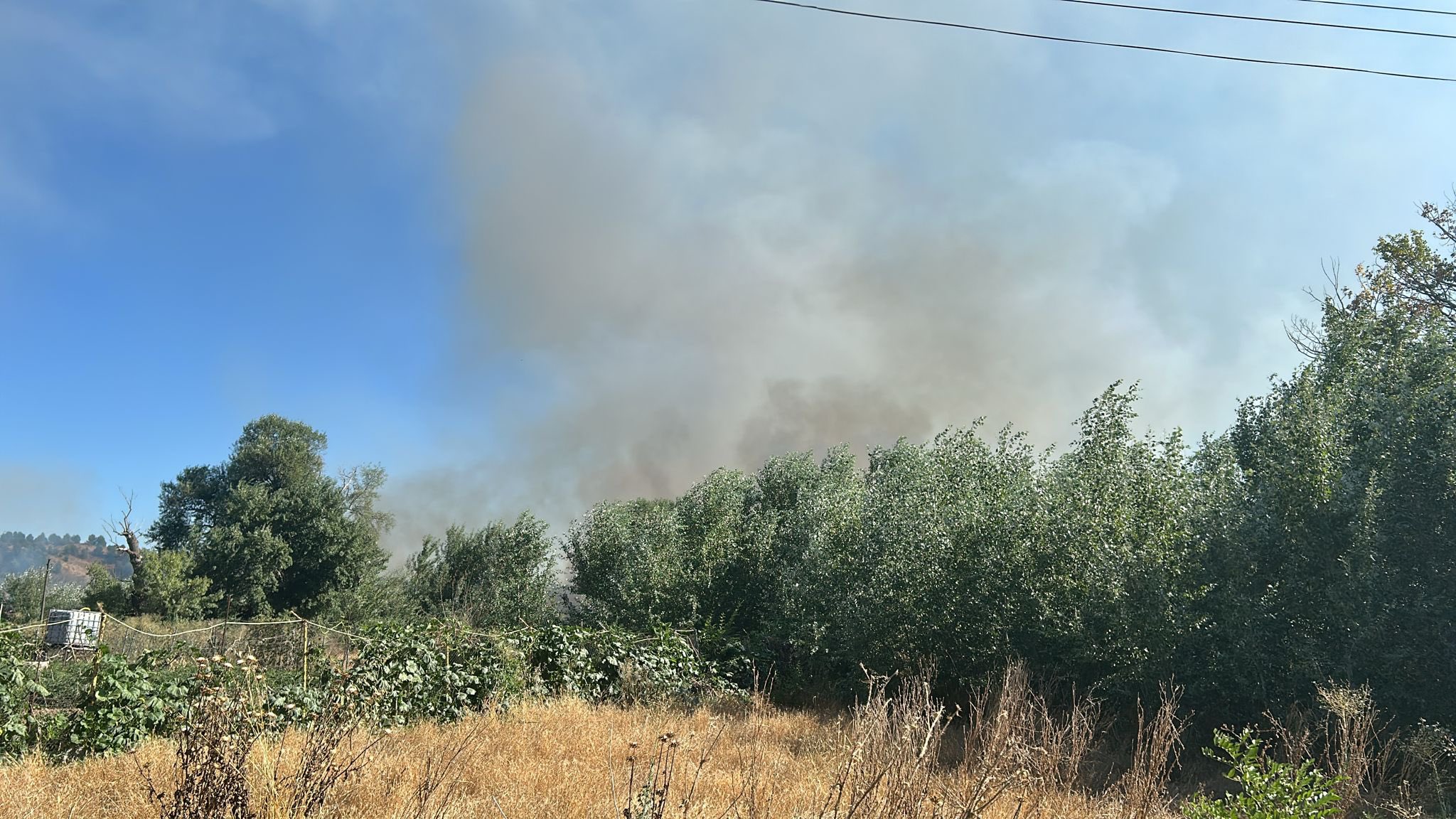 Foto cedida por Ayuntamiento de Alcalá 