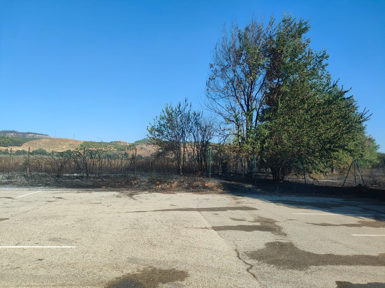 Foto cedida por Ayuntamiento de Alcalá 
