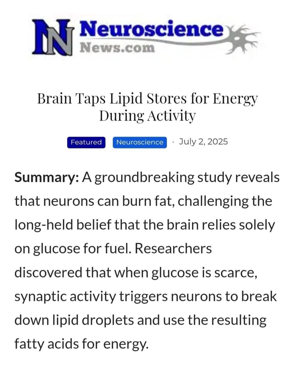 thecarnivorebar's tweet image. Repost @theketoathlete 💡 The brain needs fat to function! 🧠 When it's blocked, we face neurodegenerative issues. Did you know it prefers ketones over glucose? ⏳ Time to rethink brain health diets! Science evolves slowly, but we’re ready for change! #BrainHealth #BrainFood…