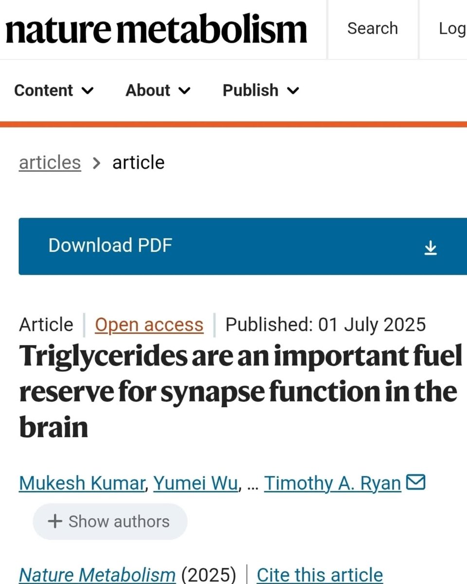 thecarnivorebar's tweet image. Repost @theketoathlete 💡 The brain needs fat to function! 🧠 When it's blocked, we face neurodegenerative issues. Did you know it prefers ketones over glucose? ⏳ Time to rethink brain health diets! Science evolves slowly, but we’re ready for change! #BrainHealth #BrainFood…