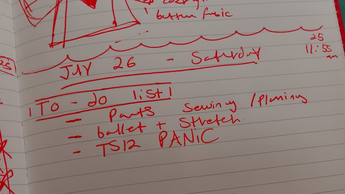 hushmirrorball's tweet image. added TS12 PANIC to my to-do list for today