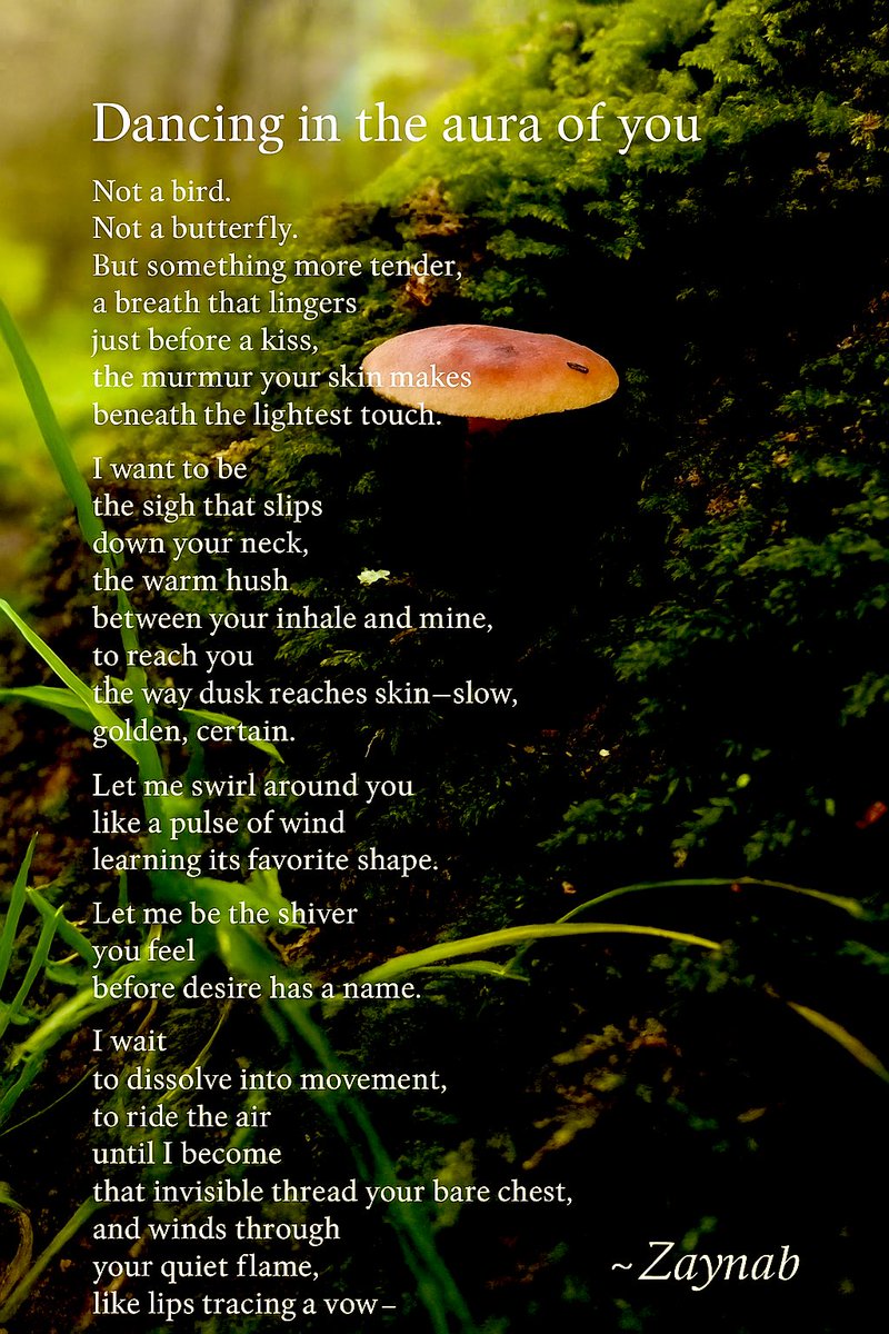 ~
Dancing in the aura of you

Not a bird
Not a butterfly
But something more tender,
a breath that lingers just
before a kiss, the murmur your skin
makes beneath the lightest touch

I want to be the sigh
that slips down your neck,
the warm hush

  #poetry #poem
📸 &amp; ✍️ ~ Both mine