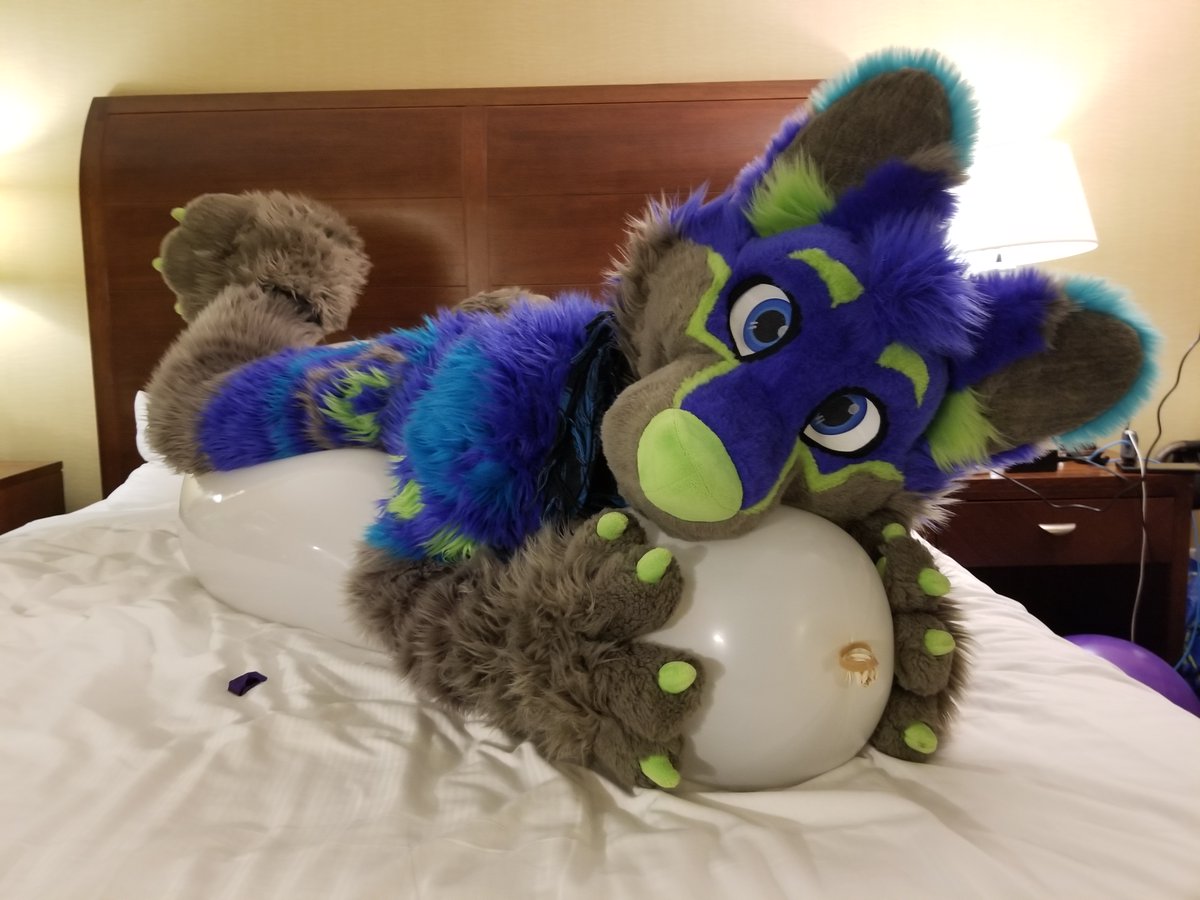 RiggyFolf's tweet image. 🎈🎈Happy #SqueakySaturday 🎈🎈

📸 @LukeBusFox
