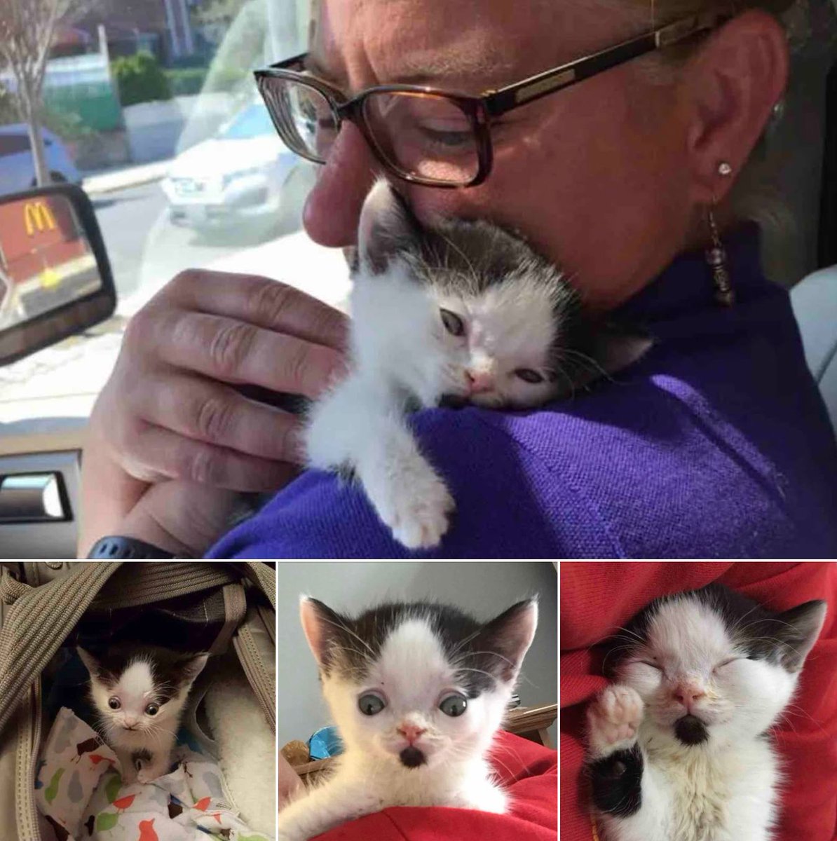 catsnkittys's tweet image. No One Wanted to Adopt a Special Kitten, Then He Met This Woman 😇
"He was just 13 weeks old and weighed 14 ounces when Lisa rescued him in the nick of time, he was about to be euthanized. She decided there and then to adopt him." 🥰
Click here for more 👉…