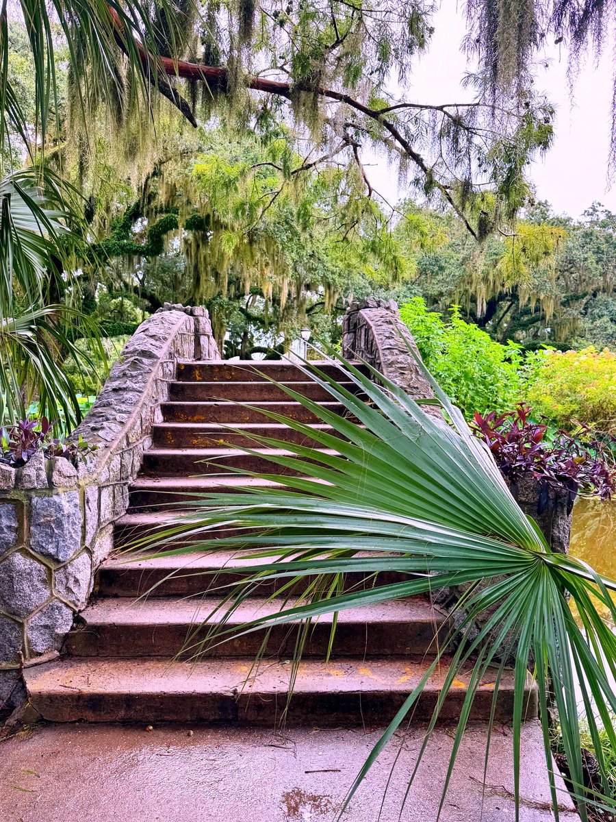 DavidMora's tweet image. Summertime in @NOLACityPark 🌞🌿🛶🌳💐 #NewOrleans