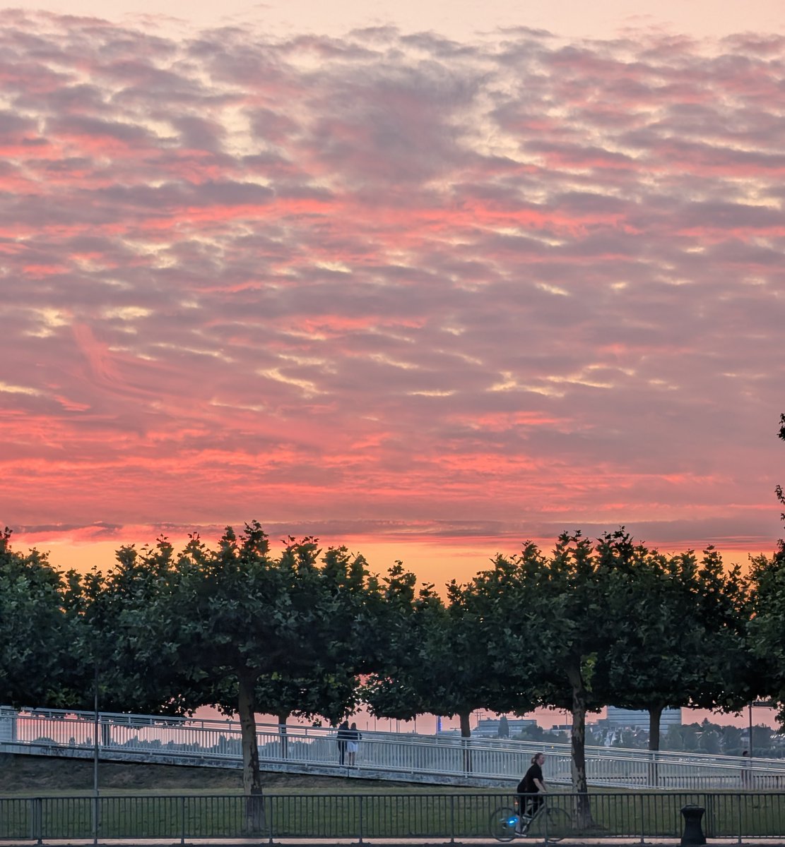 schlockback's tweet image. Sonnenuntergang in #Düsseldorf.
Eindeutig ein Fall für
#LiebeIstAlles #SchönesGegenDoofes #FloodTheZoneMitSchoenem
Habt alle einen schönen Abend