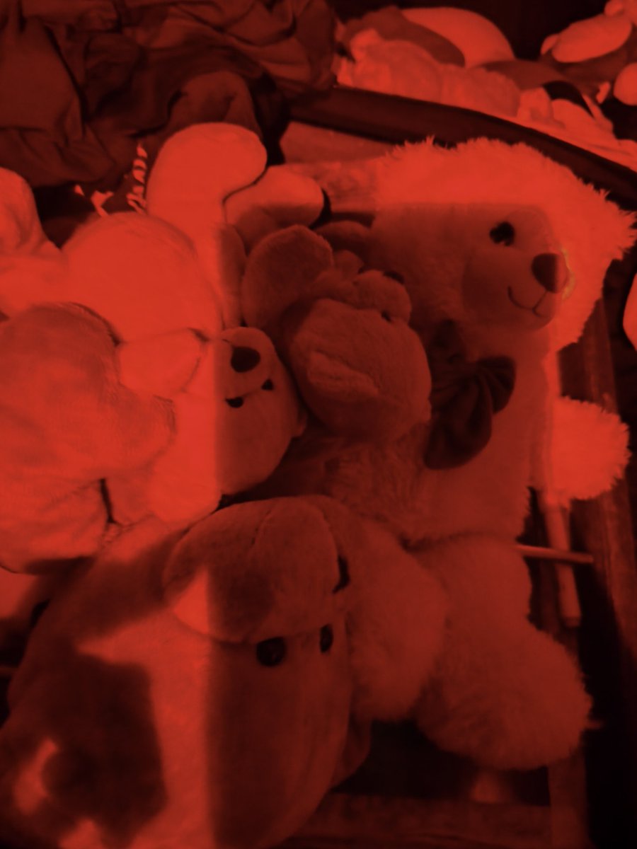 On transportait du lait infantile et des peluches.