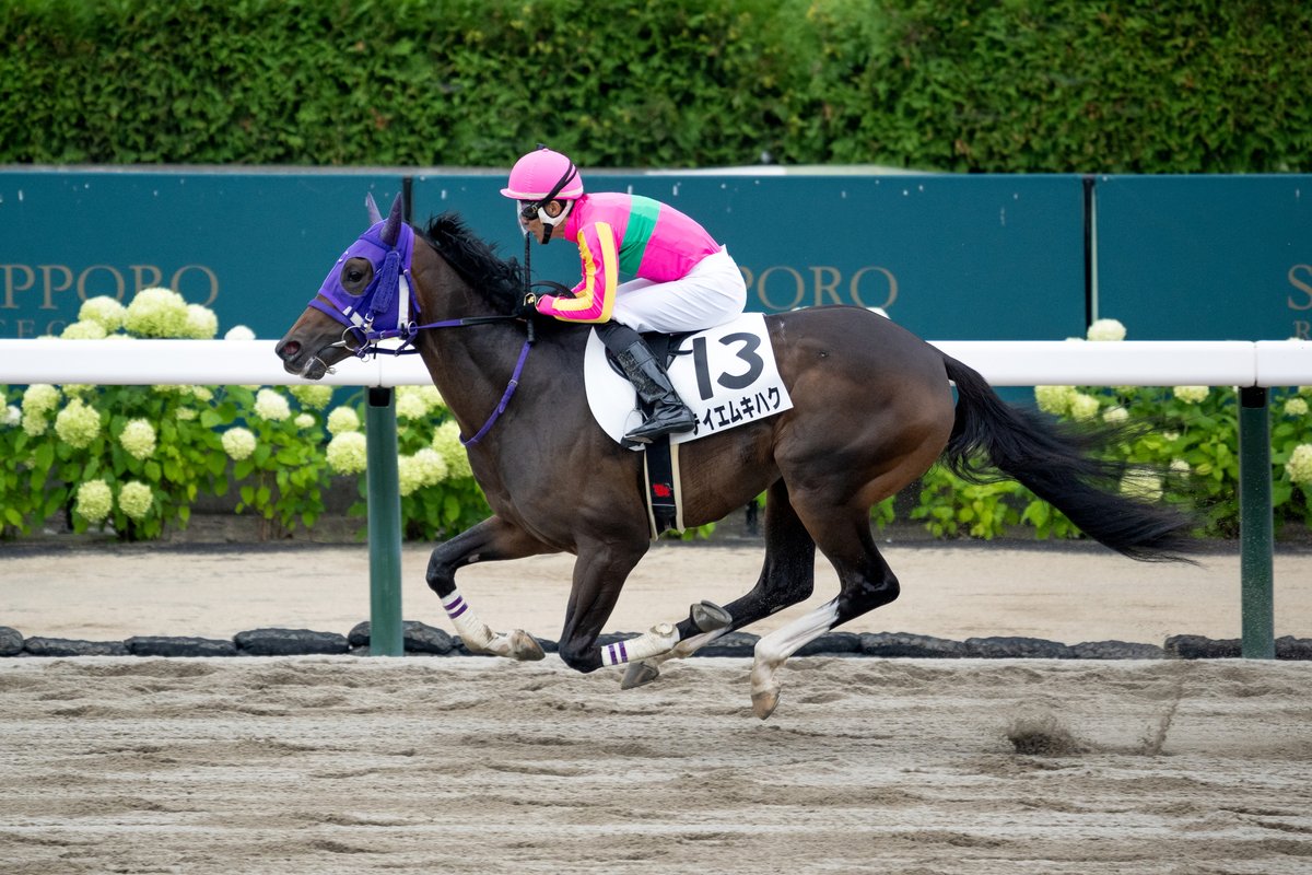netkeiba's tweet image. 札幌5R 2歳新馬 ダ1700
#テイエムキハク
#丹内祐次
父ルヴァンスレーヴ
母タイニーダンサーはDG競走3勝
札幌10R ライラック賞 3歳上2勝
#スピードリッチ
#藤岡佑介
父ドレフォン
母エバーシャルマン
半兄シーズンリッチは毎日杯覇者
撮影:山中博喜