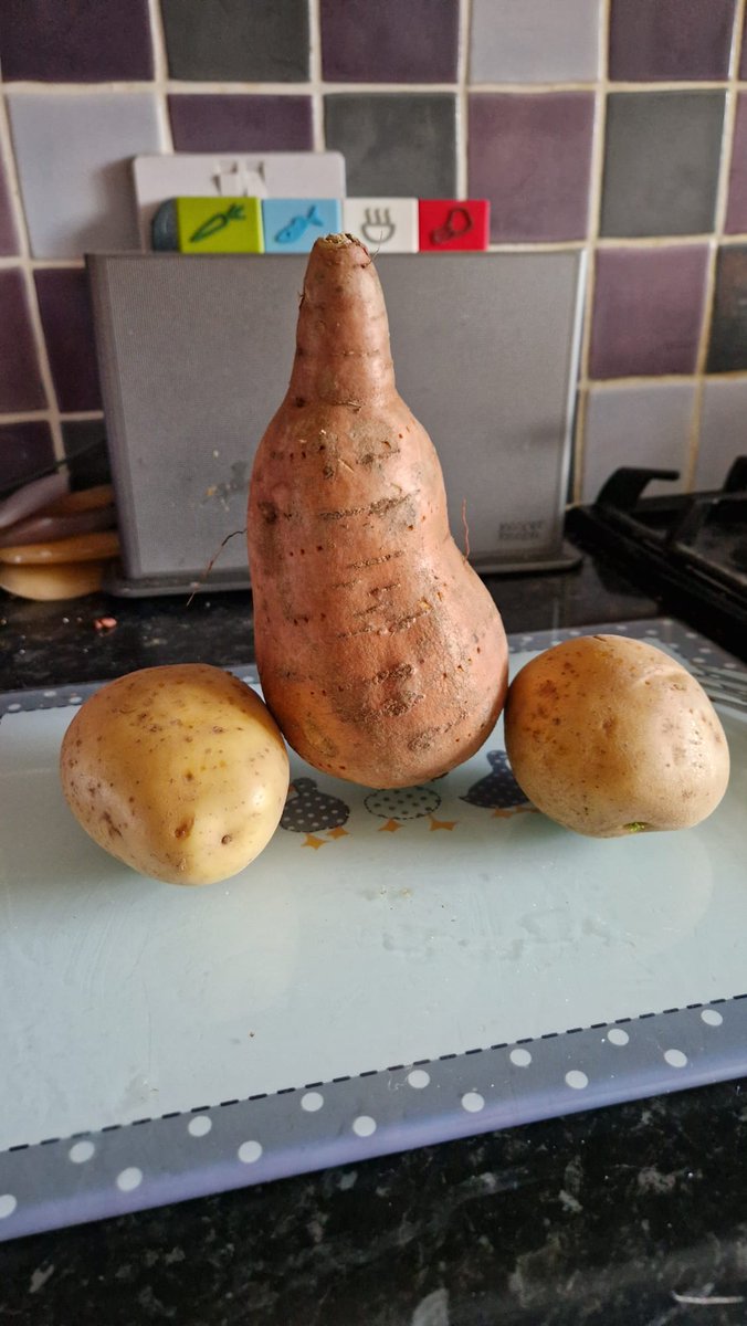 I think Sainsbury's have accidentally sent us <a href="/StansaidAirport/">Stansaid Airport</a> 's potato order.