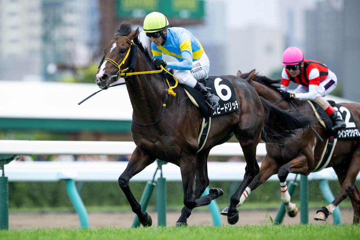 netkeiba's tweet image. 札幌5R 2歳新馬 ダ1700
#テイエムキハク
#丹内祐次
父ルヴァンスレーヴ
母タイニーダンサーはDG競走3勝
札幌10R ライラック賞 3歳上2勝
#スピードリッチ
#藤岡佑介
父ドレフォン
母エバーシャルマン
半兄シーズンリッチは毎日杯覇者
撮影:山中博喜