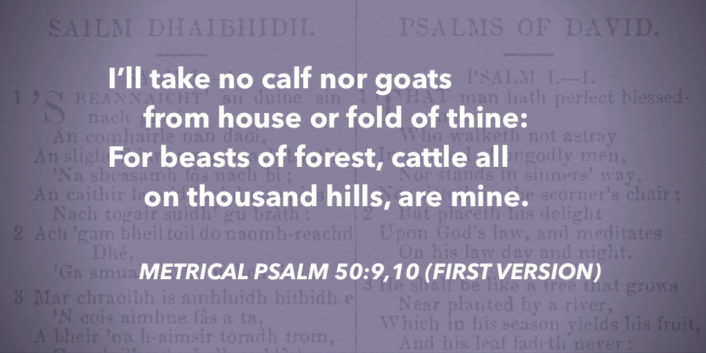 fccscot's tweet image. Metrical Psalm 50:9,10 – I’ll take no calf nor goats #purityofworship #MetricalPsalms