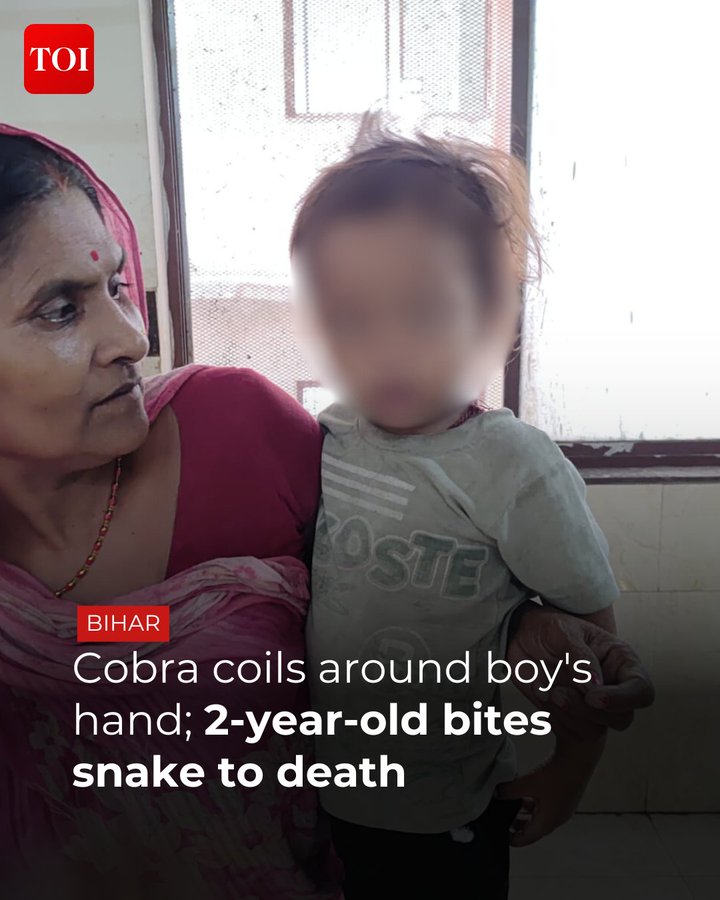 अविश्वसनीय- 
पश्चिमी चंपारण के बेतिया में एक दो साल के बच्चे ने एक कोबरा को अपने नंगे दांतों से काट लिया, जब #साँप ने उसके नन्हे हाथों को कसकर जकड़ लिया।

भगवान कृष्ण और कालिया नाग की पौराणिक कथा की याद दिलाने वाला यह असाधारण टकराव, बच्चे को बेहोश तो कर गया, लेकिन त्वरित चिकित्सा